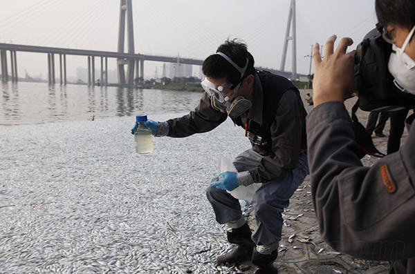 农业部：天津大面积死鱼因缺氧 未发现氰化物