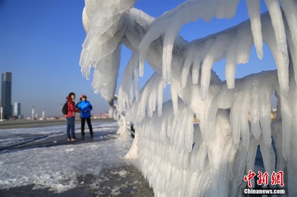 难得一见！大连海岸现冰挂奇观：浪花结冰