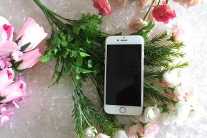 苹果iPhone7首周销量曝光 卖的非常好