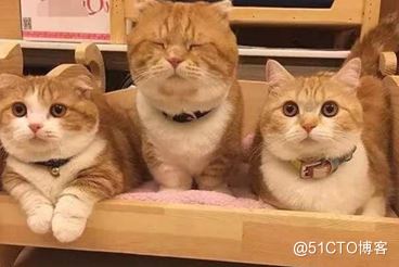 详解R语言图像处理EBImage包