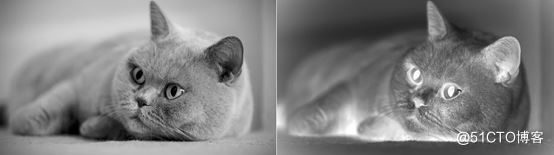 详解R语言图像处理EBImage包