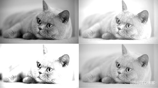 详解R语言图像处理EBImage包