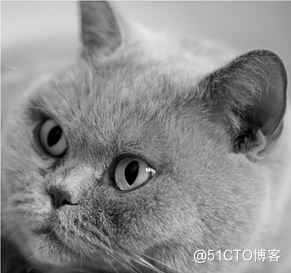 详解R语言图像处理EBImage包