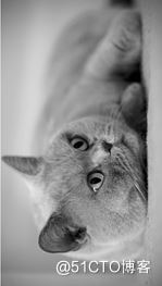 详解R语言图像处理EBImage包