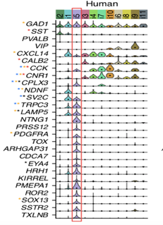 R语言绘制Facet violin plot小提琴刻面图实现示例
