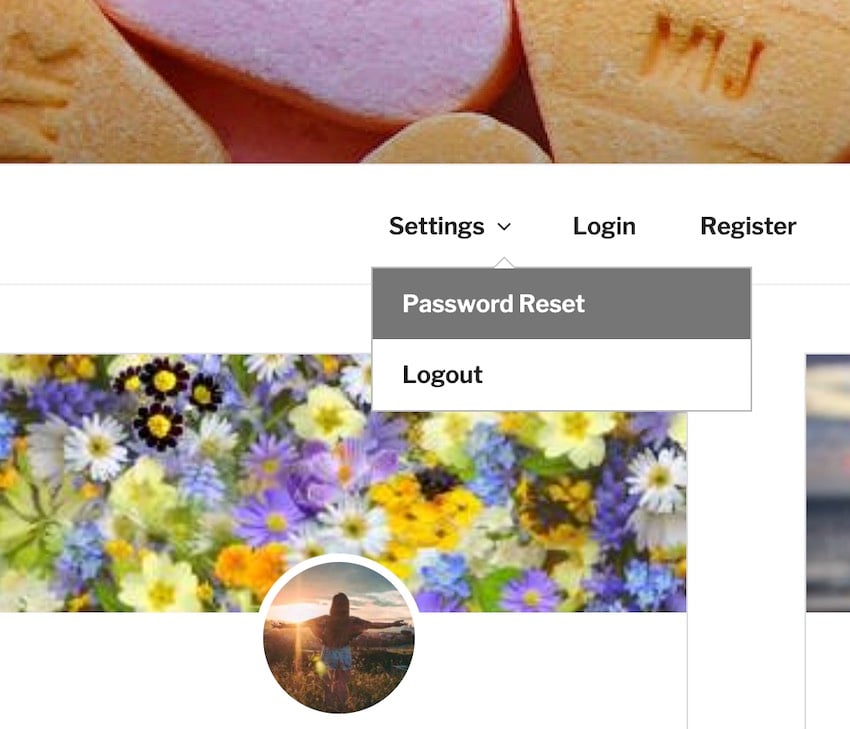 更好的导航:如何在 WordPress 中添加下拉菜单