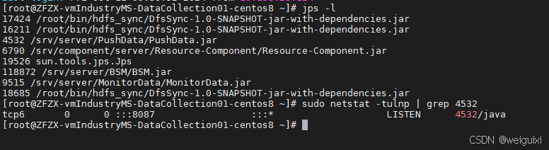 Linux系统通过jar包进程号查询jar程序占用端口的方法