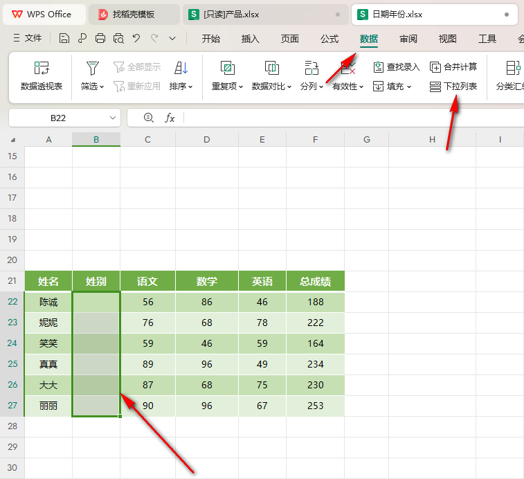 WPS Excel表格设置选择项的具体操作方法