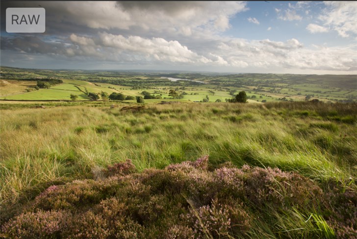 深入了解苹果iOS 12新功能:原生相册的新奇玩意