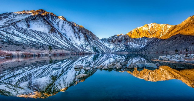 相机的对焦功能究竟怎么用