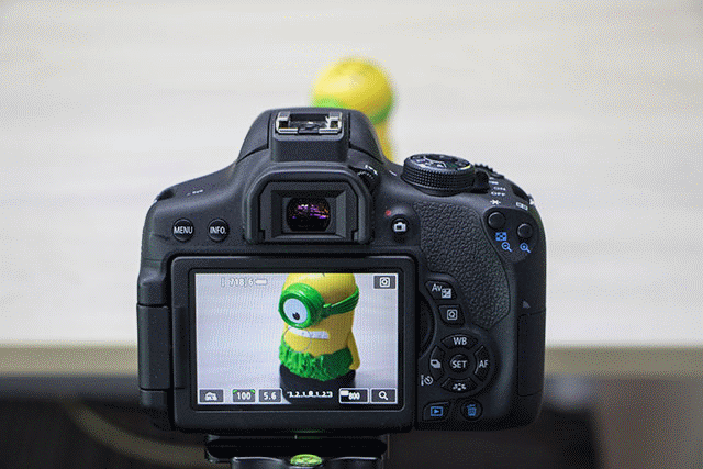 相机的对焦功能究竟怎么用