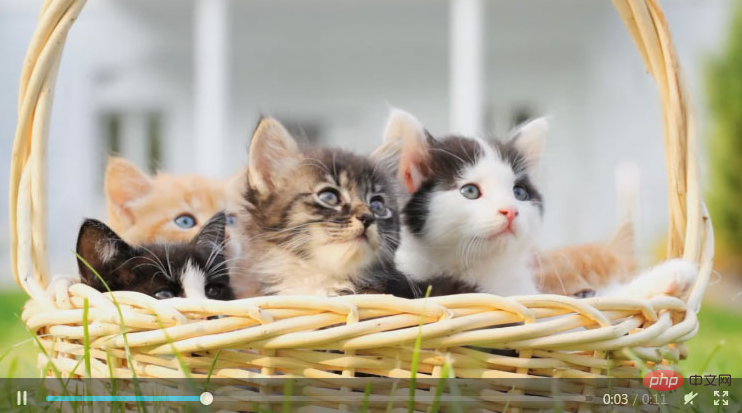 WordPress利用自带短代码添加视频的方法