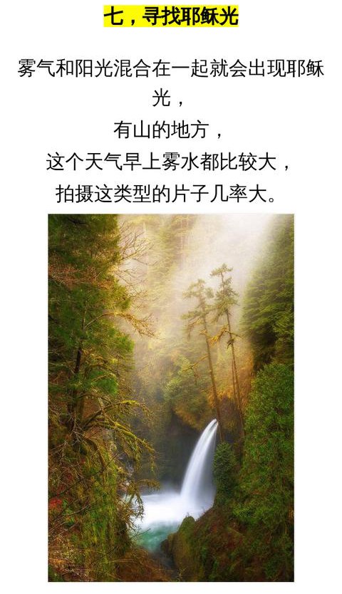 手机拍照小技巧:10个逆光风景拍摄技巧