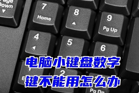 电脑小键盘数字键打不出数字的解决方法
