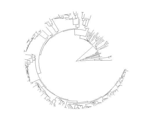 R包ggtreeExtra绘制进化树