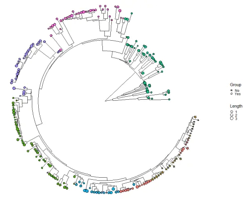 R包ggtreeExtra绘制进化树