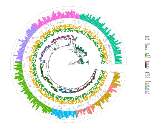 R语言R包ggtreeExtra绘制进化树